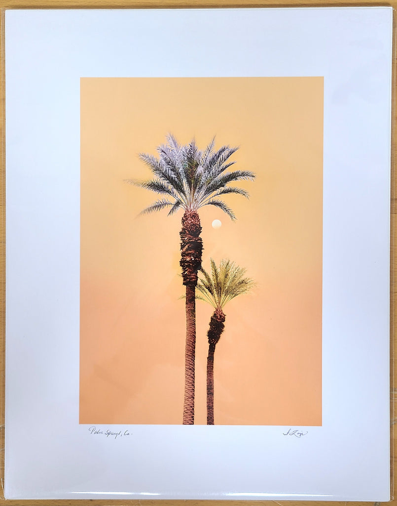 Guillermo Zuñiga Artwork