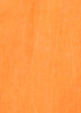 Orange KikiSol Long Button Down Shirt